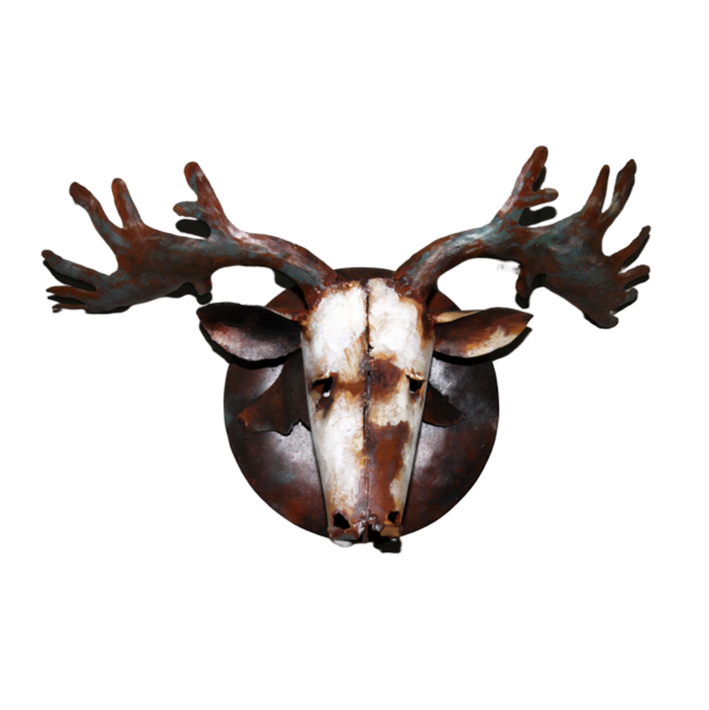 Head of antelope