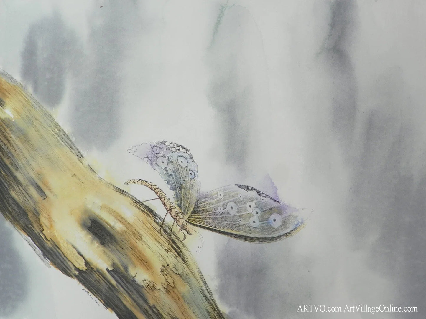 Charcoal Paintings in The Nature of Gouaches - Butterfly