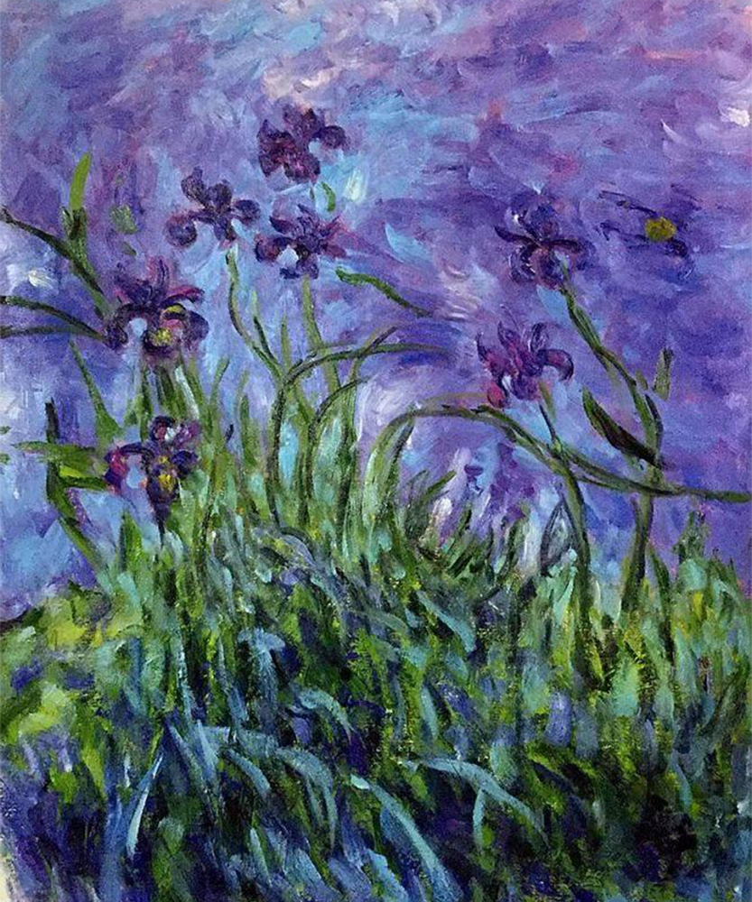 Lilac Irises